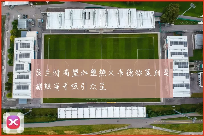 莫兰特渴望加盟热火韦德称莱利是捕鲸高手吸引众星