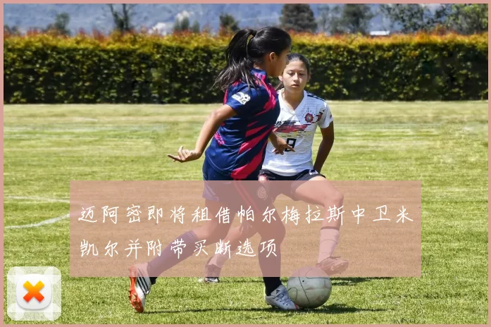 迈阿密即将租借帕尔梅拉斯中卫米凯尔并附带买断选项